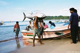 セイロン旅行.com,スリランカ旅行、貴重な旅行画像best100